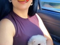 Teacup Kar Beyazı Pomeranian Boo Dişi Prenses