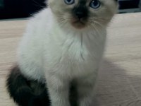 Point gurup kedimiz
