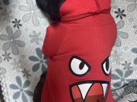French bulldog kızımızı sahiplendirmek