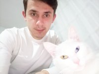 Van kedisi 2 aylık