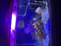 Astonort çöpçü a kalite