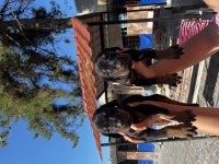 Doberman Yavrularım