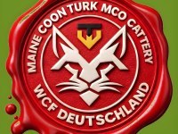 Lo Şecereli Maine Coon Kediler