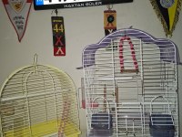 4 MUHABBET KUŞU KOMİK RAKAM