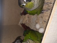 Garanti satılık konur takımlar
