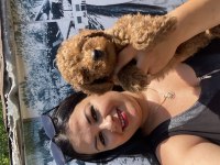 Ufacık sağlık ve ırk garantili toy poodle yavrularım