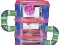 Hamster İsteyen Antalya En Uygunu