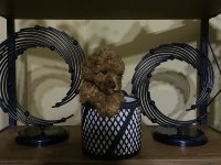 Çin Poodle 650 gr Red Brown