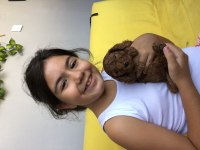 Sağlıklı poodle yavrularımızı sahiplendirme