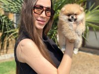 Mini Ayıcık Surat Pomeranian Özel Üretim