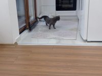 1 defa doğum yapmış 2 yaşında
