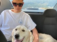 3 yaşında dişi golden retriever