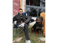 Koca Kafa Rotweiller Yavruları