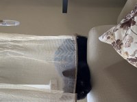 British shorthair kızım kendisini yeni yuvasını arıyor