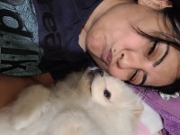 Pomeranian boo 4 aylık köpeğimiz