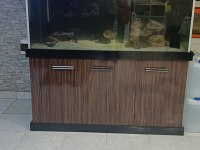 Mobilyalı akvaryum komple satılık piranalı