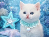 British shorthair kedisi