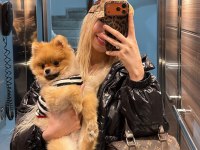 7 Aylık Aşıları Tam Kimlikli Pomeranian