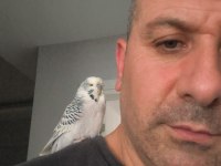 Show Jumbo 6 Aylık Erkek Ele Kola Alışkın 3 Kelime Muhabbet
