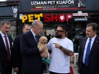 Çağrı Çemçem İn Sizin İçin Seçtiği Özel Yavrular