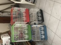 Üç yemlikli sıfır kafesler