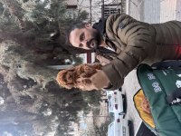 Safkan sağlıklı TOY POODLE yavrular anne altından