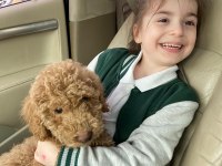 8 aylık ev köpeği hera