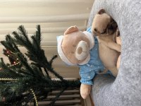Pug yavru köpeklerim