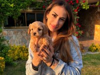 Üst Kalite Maltipoo Bebeklerimiz