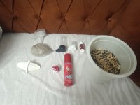 Sultan papağanı yaninda kafes ve 5 kilo yem ve arac gerec