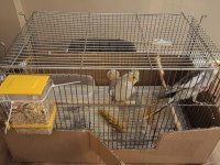 2 buçuk yaşında garanti bakıcı grey takım sultan