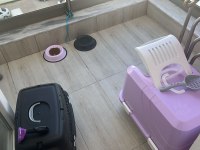 Yanında eşyalarıyla tatlı bebek gri scottish fold