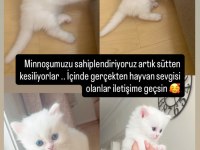 Pamuk kızımız sütten kesildi