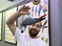 200 KELİME KONUŞAN GEVEZE JAKO PAPAĞANI