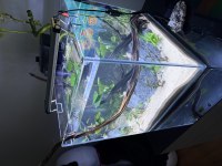 35*35*35 nano akvaryum ultra clear cam özel