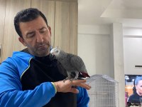 Full evcil jako 2 yaşında 