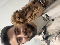 Poodle bebeklerim hazır