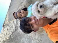Sevimli maltipoo yavrumuz maya ya temiz güzel aile aranıyor