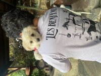 3 Aylık Köpeğimiz
