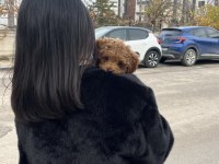 AİLE ORTAMINDA BÜYÜMÜŞ YAVRU KÖPEKLER