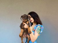 İri doberman yavrularım