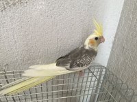 Bebek sultan yeme düştü çok güzel takım olarak