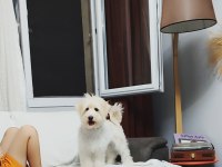 7 Aylık tuvalet eğitimi aşıları vs herşeyi tam
