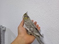 Denizlinin en kaliteli en uygun fiyata sultanın tek adresi