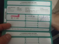 Eşimin hastalığından dolayı acil siyam kedisi