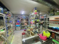 ANTALYA ADRESE TESLİM HAMSTER MUHABBET KUŞU BALIK