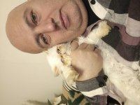İran egzotik longhair 7 aylık dişi