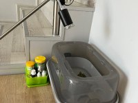 SAHİPLENDİRME su kaplumbağaları