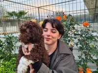 MANTAR AVCISI LAGOTTO ROMAGNOLO YAVRULAR