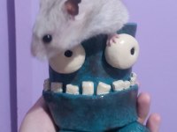Hamster Pilav Hanım için sevgi dolu yeni bir yuva arayışı !